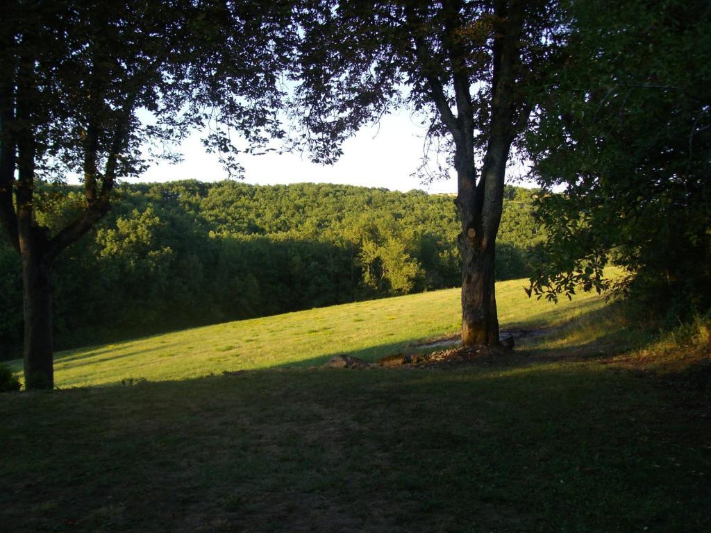 Chateau Labistoul Hotel Campes Room photo